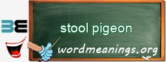 WordMeaning blackboard for stool pigeon